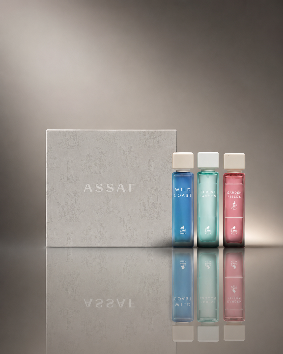 Assaf Arrogate Collection — 3 قطع